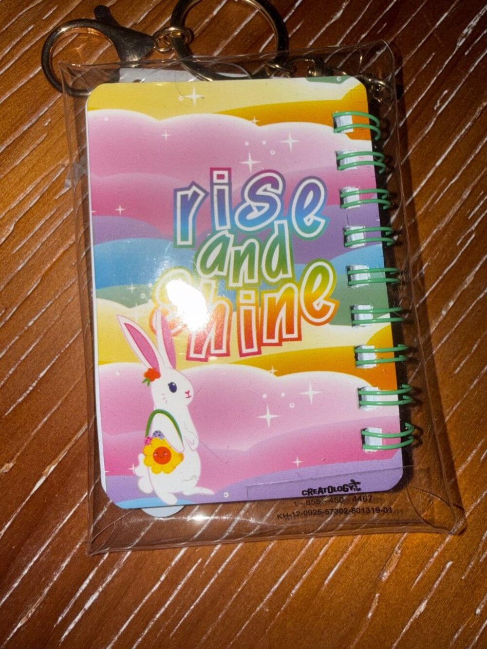 Easter-Themed Bunny Gift Set: Jewelry Mini Notebook Hair Clips Sequin Egg Bunny - Picture 5 of 7